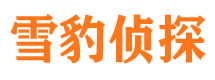 辛集找人公司